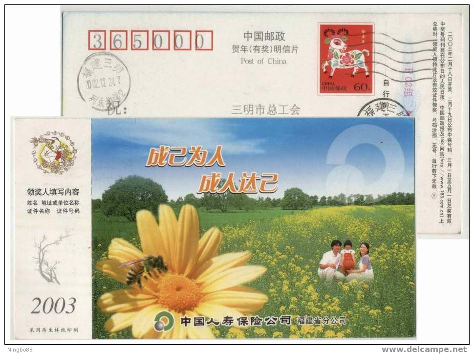 China 2003 People Life Insurance Fujian Branch Advertising Pre-stamped Card Honeybee Bee Sunflower And Basketball - Basket-ball