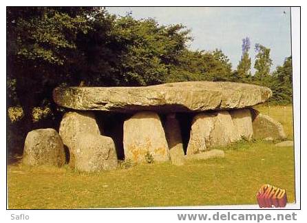 CPM 85 Le Bernard Longeville " Le Carnac Vendéen" Dolmen De La Frébouchère Vue Extérieure - Dolmen & Menhire