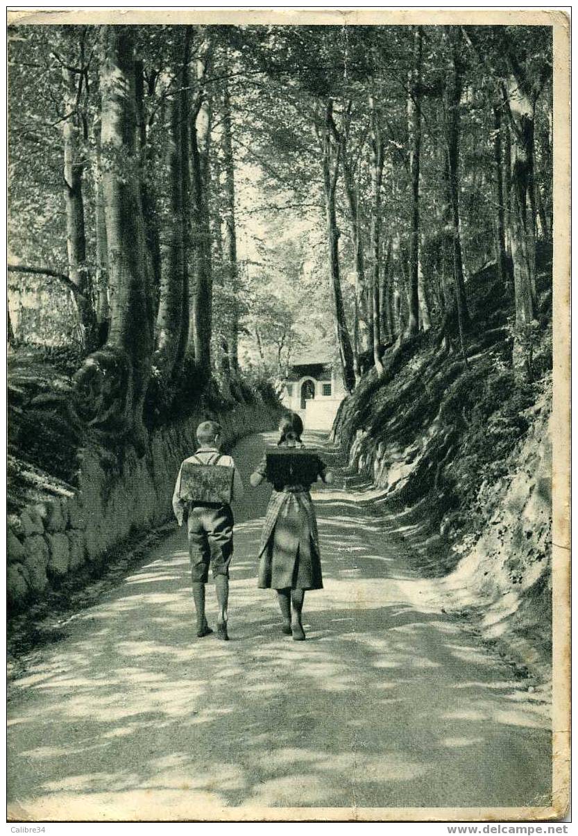 SUISSE Protection Du Chemin Creux De KUSSNACHT Par La Jeunesse Scolaire En 1934 Patronage Schweizer Illustrierte - Küssnacht