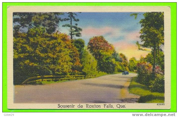 ROXTON FALLS, QUÉBEC - SOUVENIR DE ROXTON FALLS - CARTE JAMAIS UTILISÉE - - Autres & Non Classés