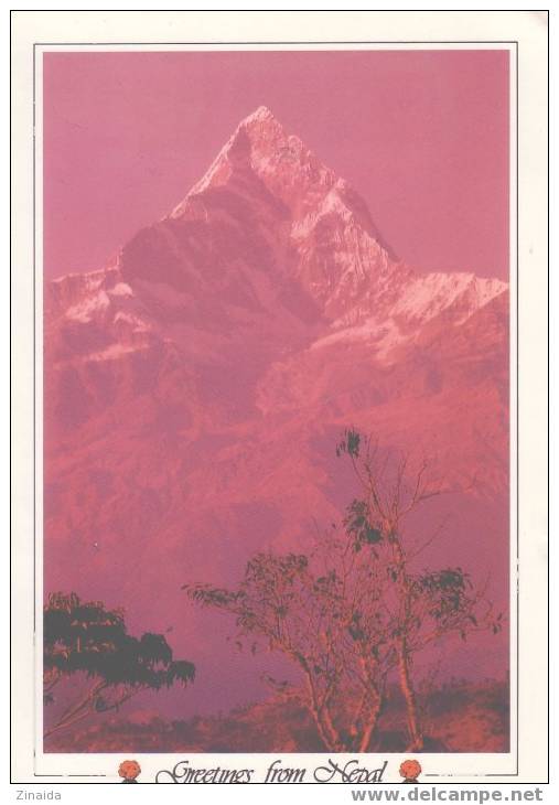 CARTE POSTALE DU NEPAL - MT MACHAPUCHRE - Népal