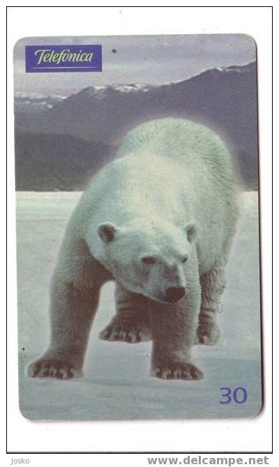 URSO POLAR (Brasil) Polar Bear Bear Baer Ours Orso Polar Polaire Artico Arctisch Arktisch - Brazil