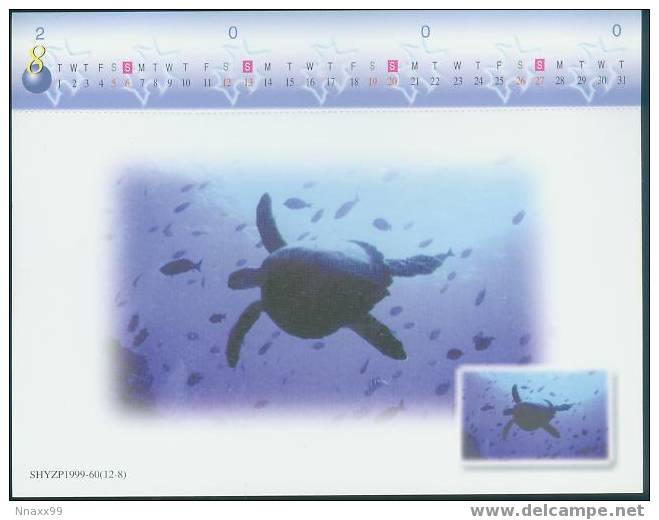 Turtle - Green Sea Turtle (Chelonia Mydas) With Fishes Pre-stamped Postcard With The Monthly Calendar Of 2000-08 - Tortugas