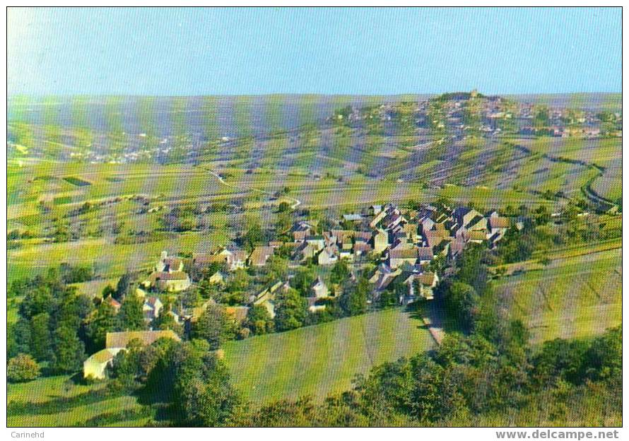 VUE SUR SANCERRE ET LE VIGNOBLE - Sancerre