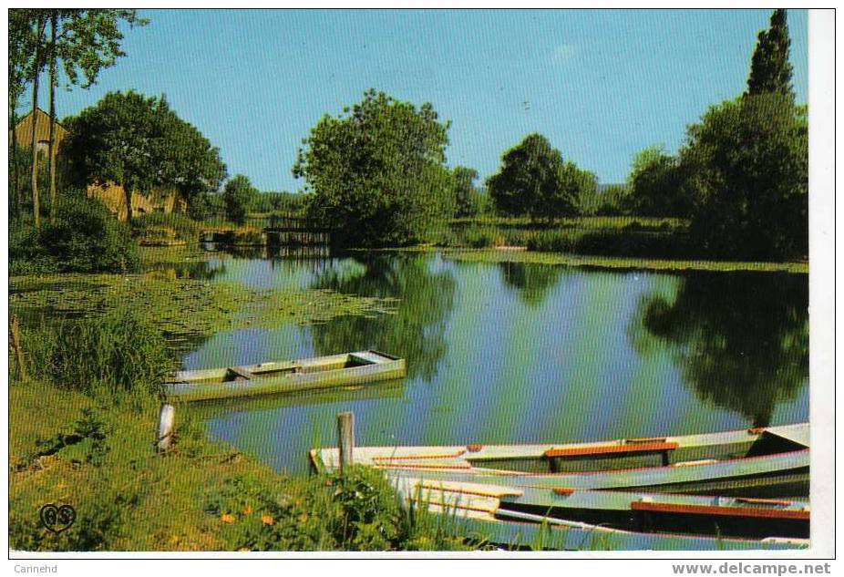 BORDS DU LOIR AU MOULIN DE CHALOU DURTAL - Durtal