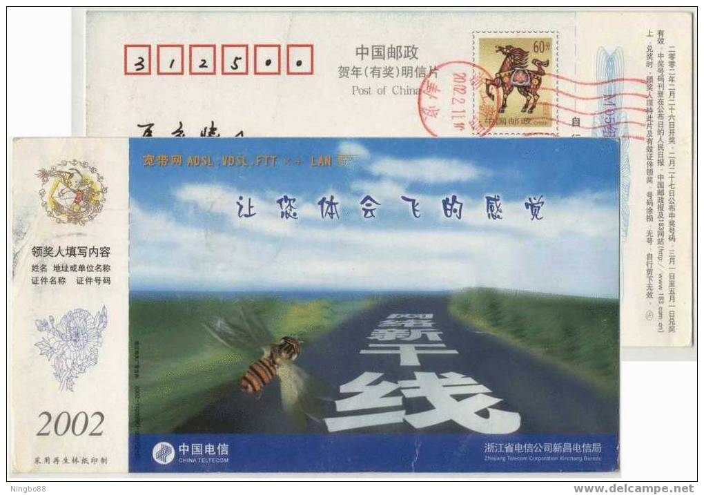 CN 02 Xinchang Telecom Internet Access Server Pre-stamped Card Insect,Internet Expressway,flying Like Honeybee Bee - Abeilles
