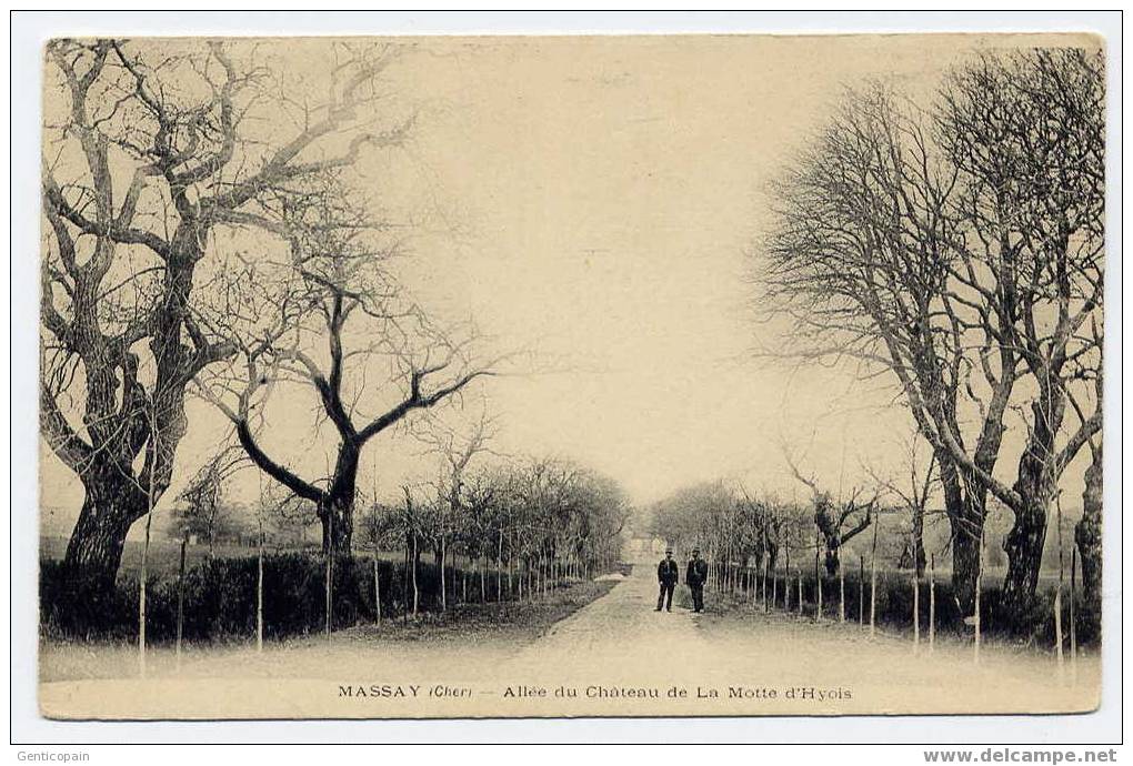 H72 - MASSAY - Allée Du Château De La MOTTE D'HYOIS - Massay