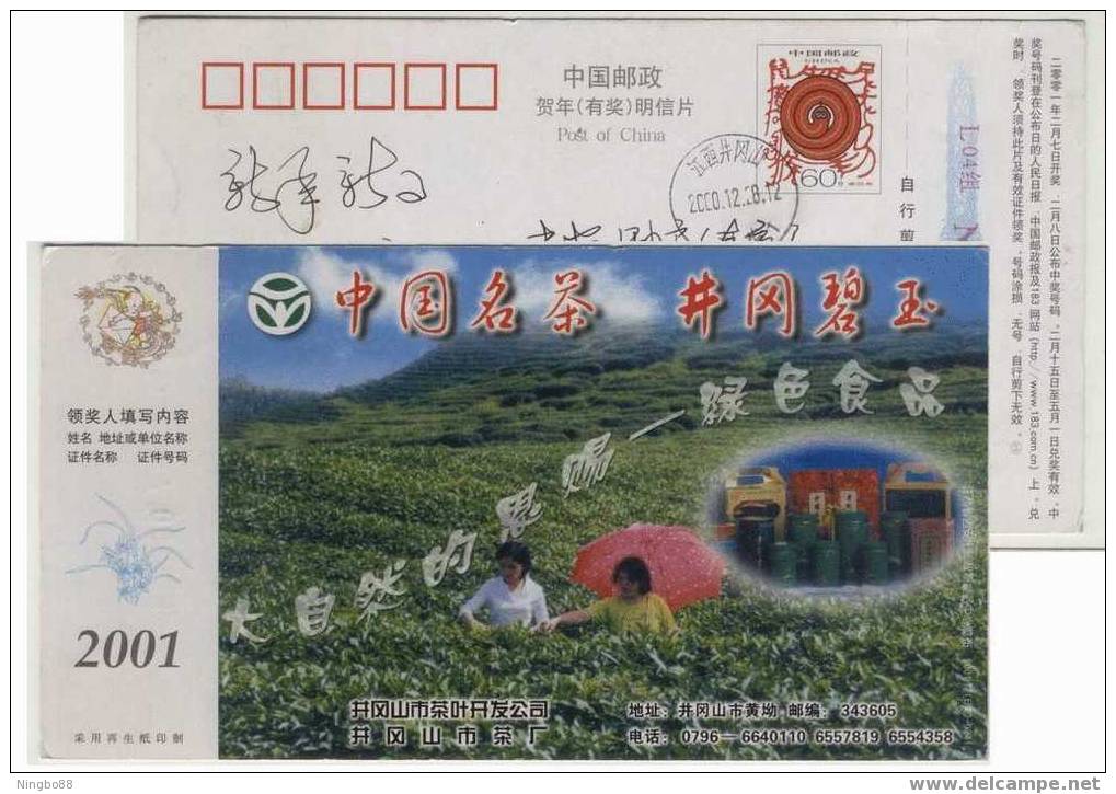 China 2001 Mt.Jinggang Green Tea Advertising Pre-stamped Card Umbella Nature‘s Goods - Autres & Non Classés