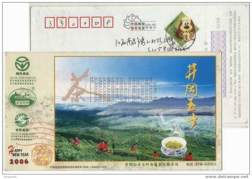 China 2006 Mt.Jinggang Green Food Advertising Pre-stamped Card Mountain Tea Picking - Autres & Non Classés