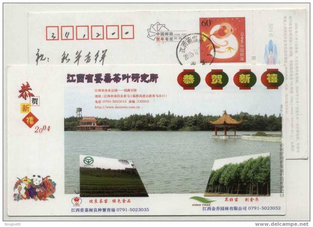 China 2003 Jiangxi Institute Of Silkworm And Tea Industry Aadvertising Pre-stamped Card Breeding Farm And Tea Field - Textil