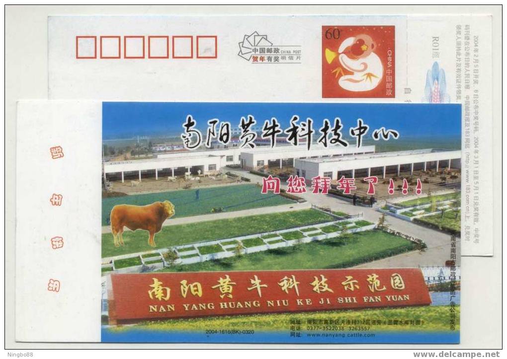 CN 04 Nanyang Cattle Farming Technology Demonstration Center Advert Pre-stamped Card Livestock Farming Yellow Cow OX - Ferme