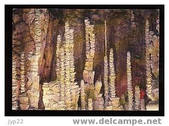 Jolie CP Lozère 48 Aven Armand Meyrueis Dans La Forêt Vierge - Stalactiques Stalagmites Géologie - Neuve - Meyrueis