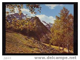 Jolie CP L'Oisans Massif De La Meije En Automne - A Circulée - Bourg-d'Oisans