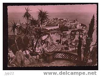 Jolie CP Ciselée Côte D'Azur Le Rocher De Monaco Vu Des Jardins Exotiques - CAD Monte-Carlo 4-4-1953 - Giardino Esotico