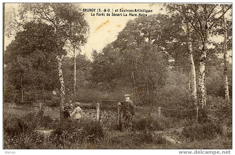 BRUNOY   (S.-et-O.)  Et Environs  Artistiques,   La Forêt De Sénart La Mare Noire - Brunoy