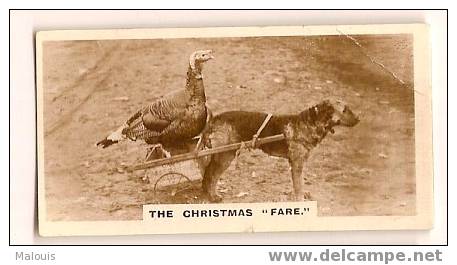 De Reszke RP 2.27. The Christmas Fare. Hond, Dog, Chien. Kalkoen, Turkey. Fold. - Andere Merken