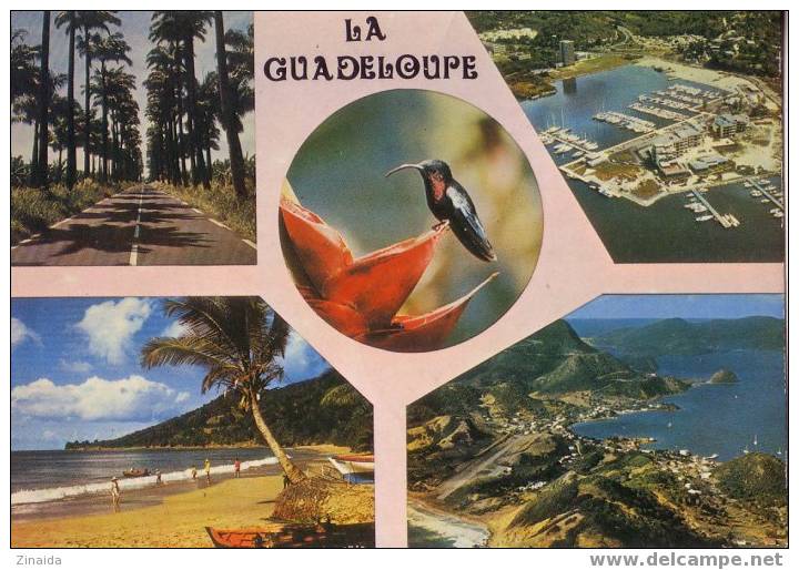 CARTE POSTALE DE LA GUADELOUPE - VUES - N°8290 - Basse Terre