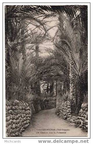 CPA ALGERIE - Colomb Bechar - Chemin Dans La Palmeraie - Bechar (Colomb Béchar)