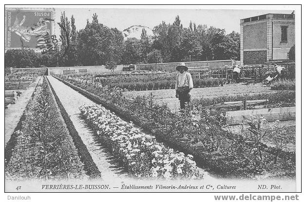 91/*/ESSONNE / VERRIERE LE BUISSON / Etablisseemnt Viomorin Andrieux Et Cie, (HORTICULTURE) ND Photo / - Verrieres Le Buisson