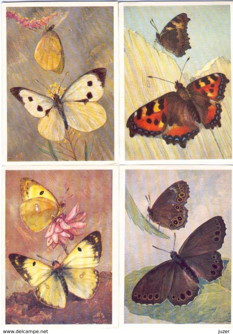 Butterflies. 16 Different Russian Postcards - Insectos