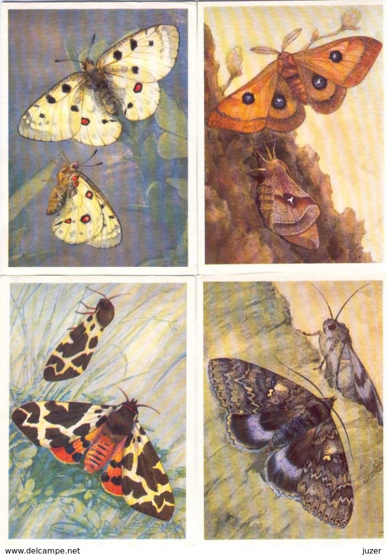 Butterflies. 16 Different Russian Postcards - Insectos