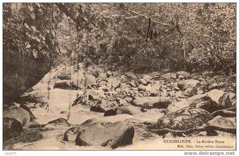 GUADELOUPE - La Rivière Noire - Pointe A Pitre