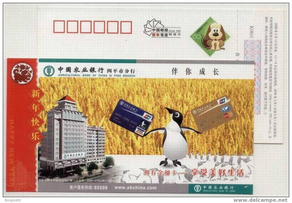 China 2006 ABC Bank Card Business Advertising Pre-stamped Card Antarctic Penguin - Altri & Non Classificati