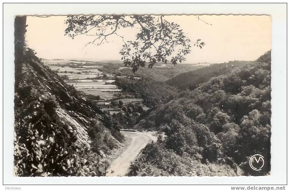 Environs De Chateau Chinon: Les Gorges De La Canche (06-5831) - Chateau Chinon