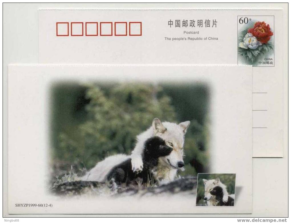 China 1999  New Year Greeting Postal Stationery Card Arctic Wolf Family - Fauna ártica