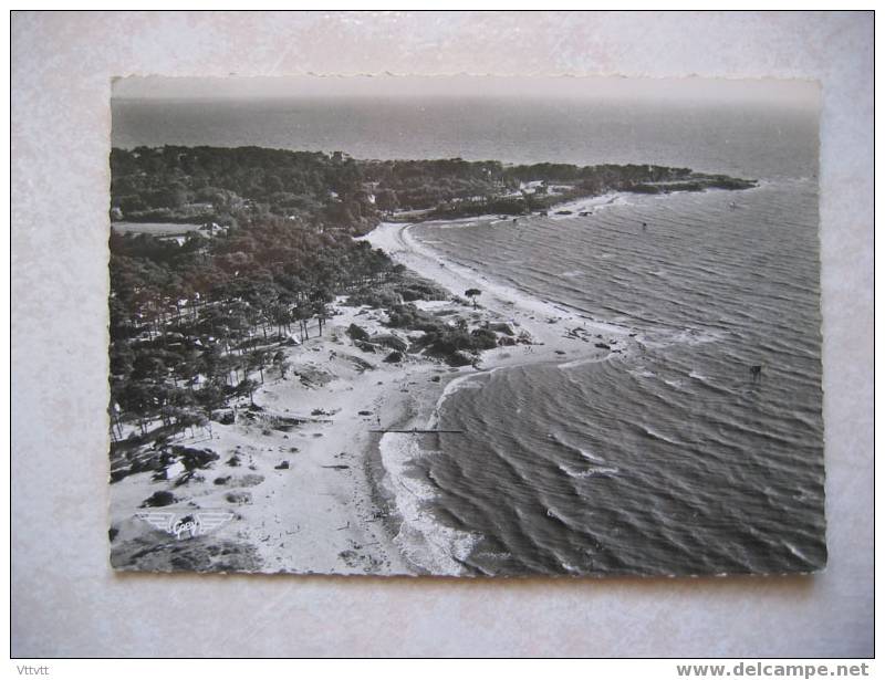 Saint-Brévin-l´Océan : Le Camping Et Pointes De La Courance Et Du Pointeau (circulée) Dentelée. - Saint-Brevin-l'Océan