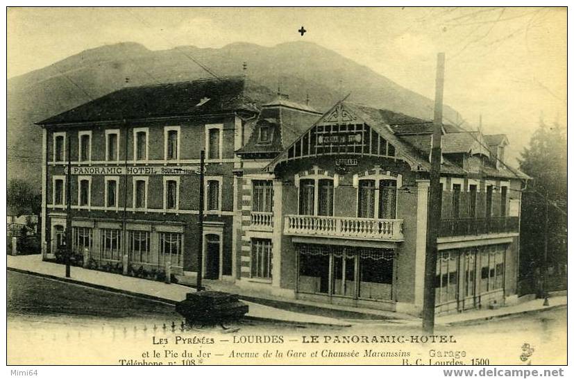 D.65. LOURDES .HOTEL .LE PANORAMIC - AVENUE DE LA GARE ET CHAUSSEE MARANSSINS - Lourdes