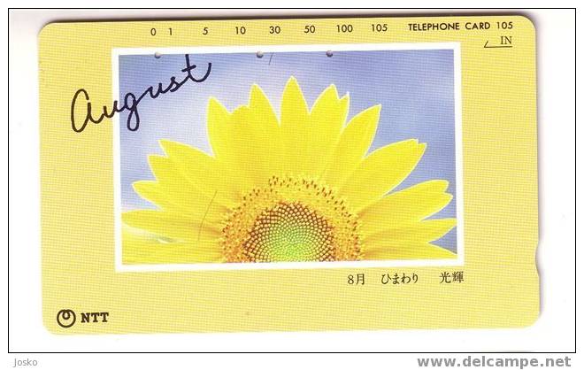 SUNFLOWER ( Japan ) - Tournesol - Soleil - Girasol - Girasole - Sonnenblume - Sunflowers - Tournesols - Fleurs