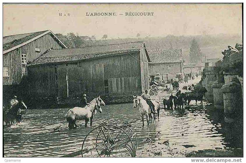 Cpa  55   RECICOURT  Argonne    Bain De Chevaux - Otros & Sin Clasificación