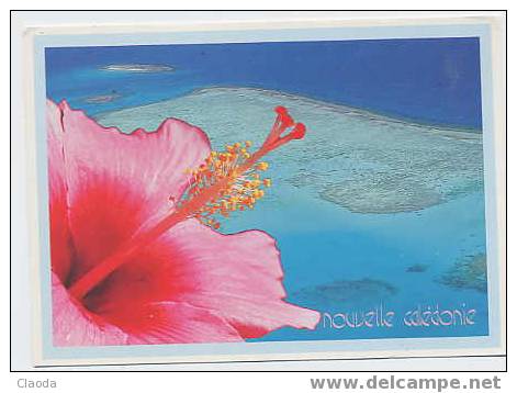 2178 - Nelle -CALEDONIE (Hibiscus Et Lagon) - Nouvelle-Calédonie