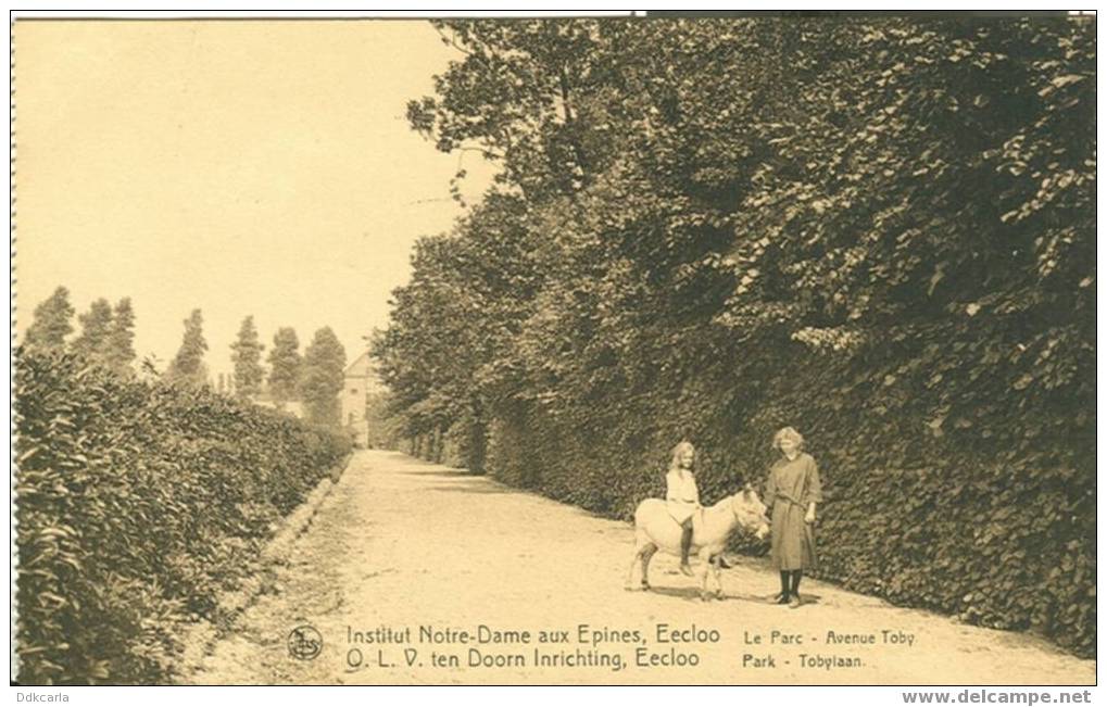 Eecloo - Institut N.-D. Aux Epines - Le Parc - Avenue Toby - Animée - Eeklo