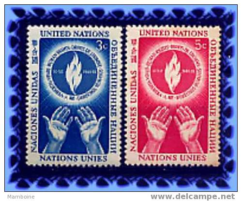 Onu  1953- 21/22 Paire  Trace De Char. - Unused Stamps