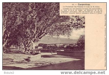 La Promenade Des Platanes.... - Carpentras