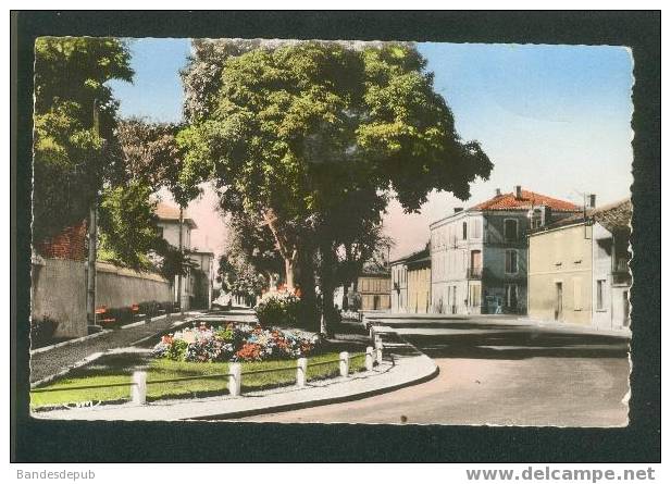 CPSM - Castelsarrasin - Jardin De La Sous Préfecture (CIM 114) - Castelsarrasin