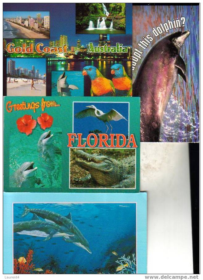 4 Dolphin Postcard  /4 Carte Postale De Dauphin - Delfines