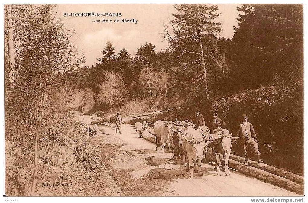 SAINT-HONORE-LES-BAINS - Les Bois De Remilly - Bazoches