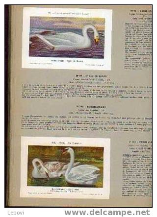 FORT "Les Oiseaux De Belgique - Tome 1" - Album Complet - Albums & Katalogus