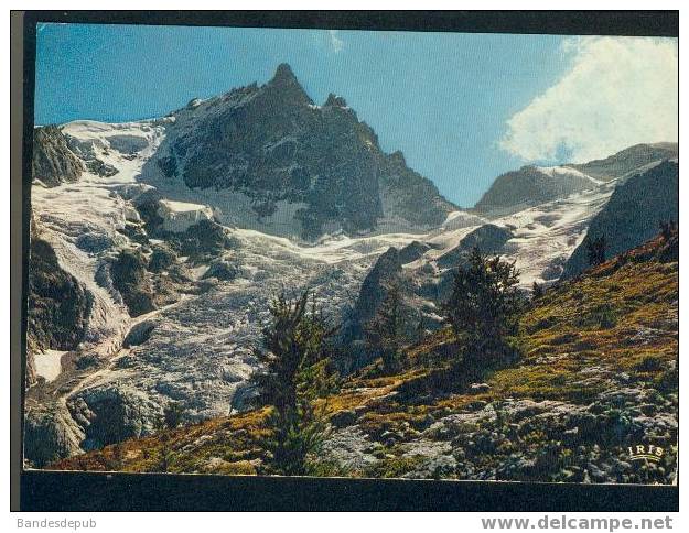 En Oisans - La Face Nord De La Meije - Glacier De La Meije Et Glacier Du Rateau (CAP 2829) - Bourg-d'Oisans