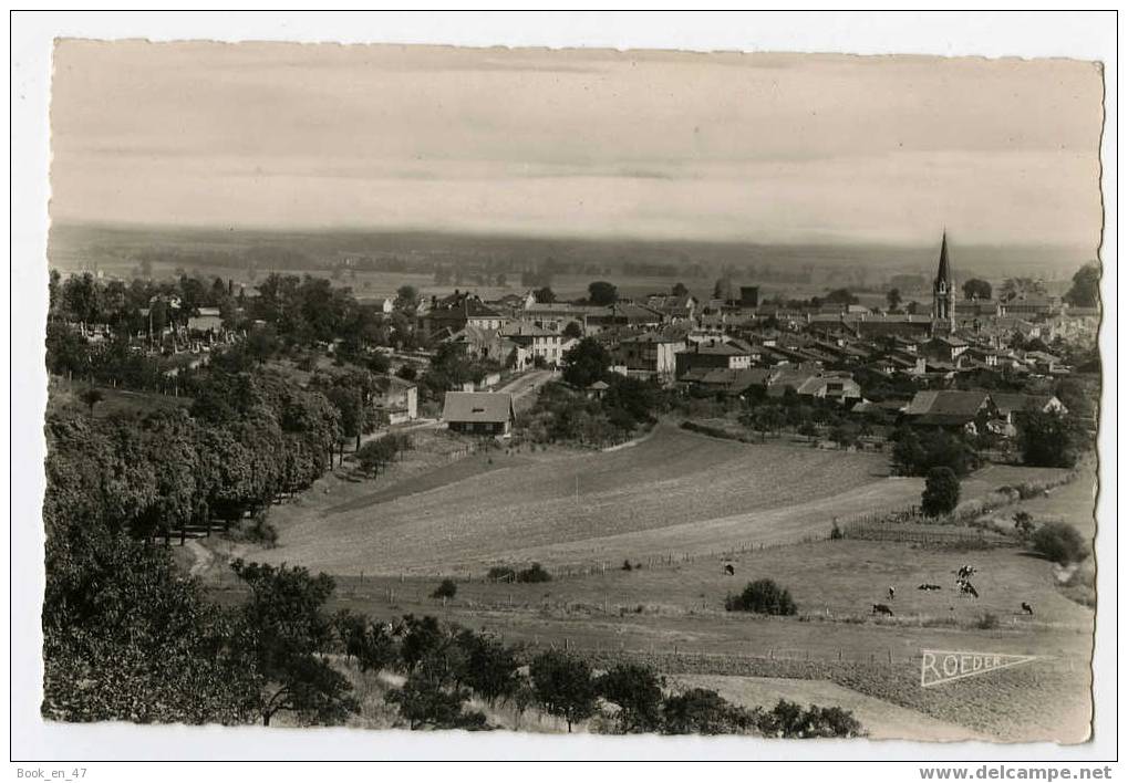 {33621} 57 Moselle Château Salins, Vue Générale . Edition Roeder - Chateau Salins