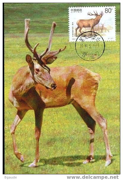 CHINE CARTE  MAXIMUM         NUM.YVERT    3675 FAUNE CERF EMISSION CONJOINTE AVEC LA RUSSIE 2 CARTES - Maximumkarten