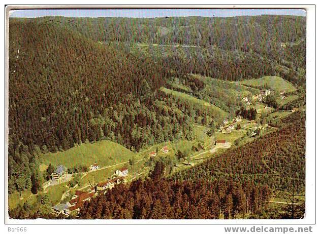 INTERESTING GERMANY POSTCARD - BAD RIPPOLDSAU - Nice Stamped - Bad Rippoldsau - Schapbach