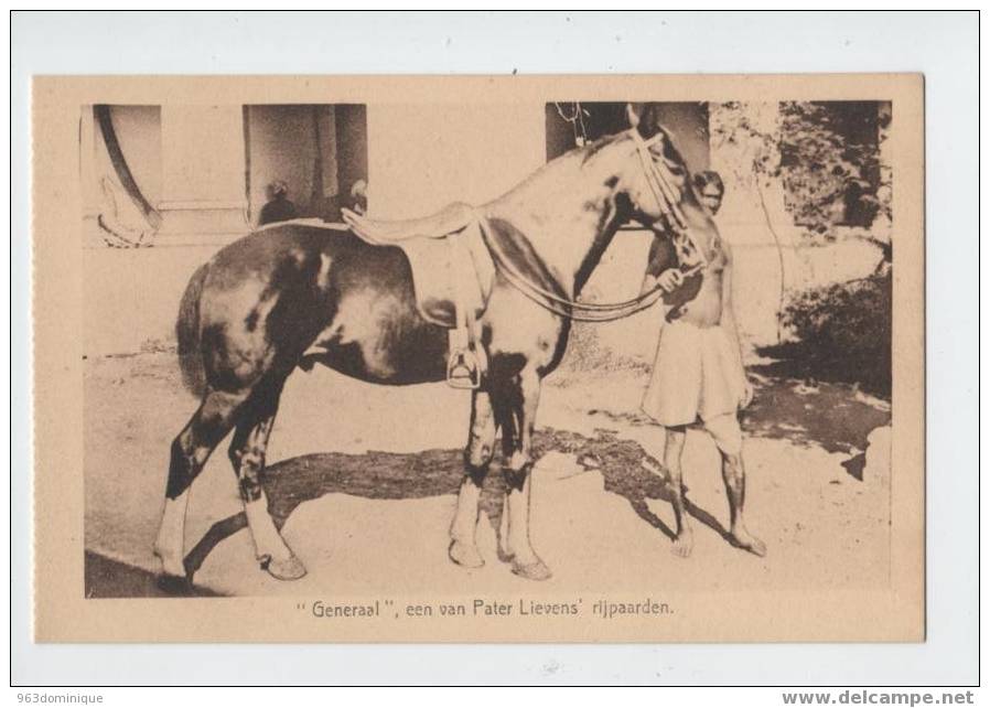 "Generaal" Een Van Pater Lievens Rijpaarden - Cheval - India - Chota Nagpore Torpa - Missionen
