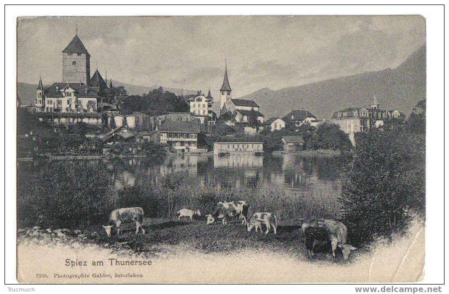 B3110 - Spiez Am Thunersee - Spiez