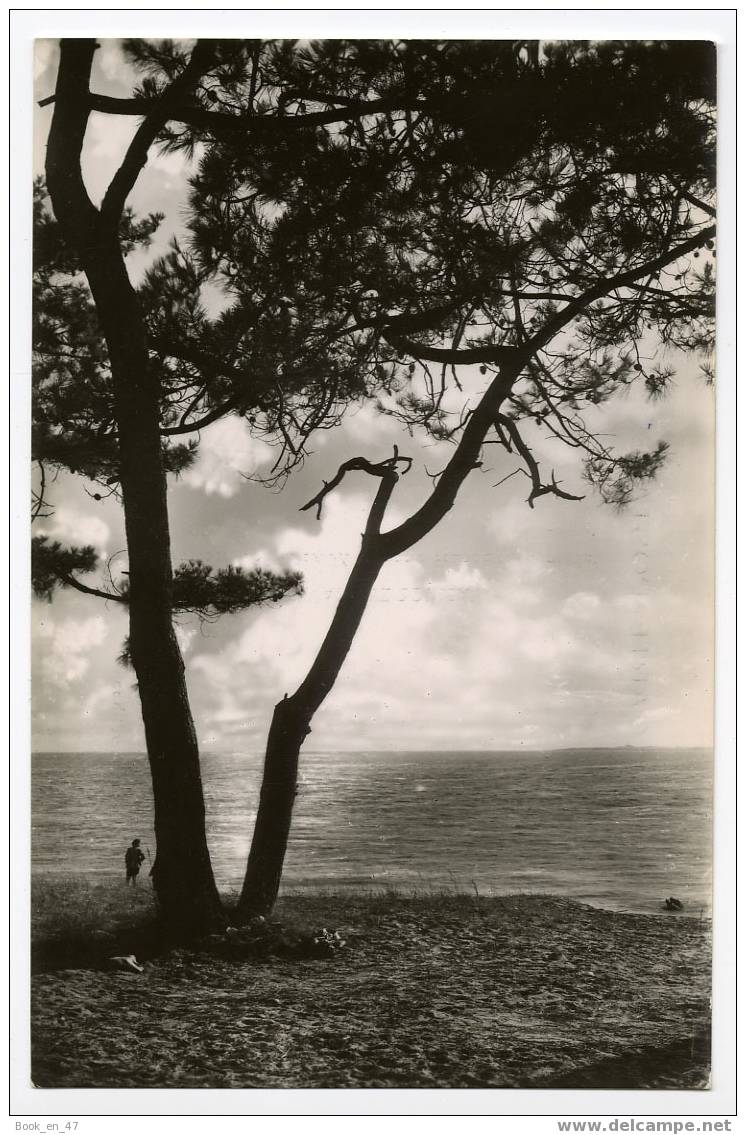 {26772} 40 Landes Mimizan Plage , Coucher De Soleil Sur Le Lac Aureilhan . Editions Van Eyk Rouleau - Mimizan Plage