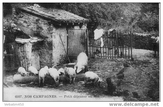 NOS CAMPAGNES..PETIT DEJEUNER EN FAMILLE..PORC..COCHON..1927 - Allevamenti