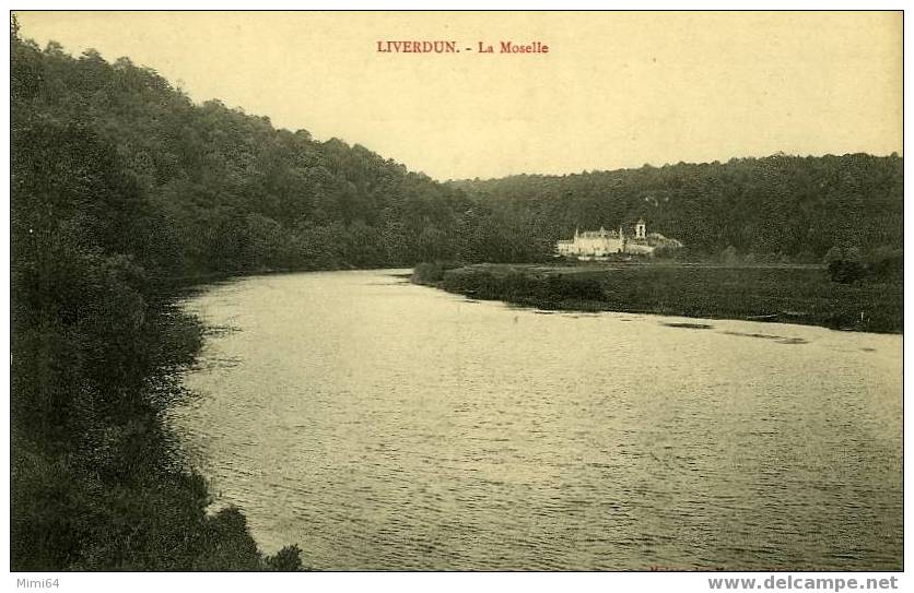 D.54. LIVERDUN . LA MOSELLE - Liverdun